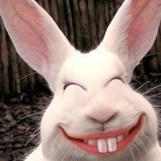 笑到肚子痛的100个有意义笑话,十个笑到你肚子疼的笑话带有讽刺