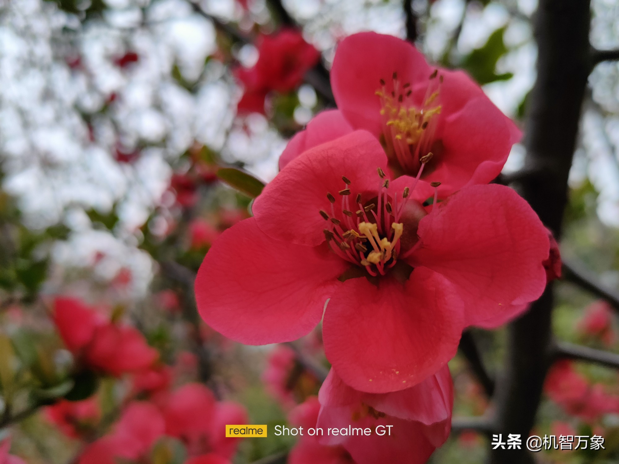 realme真我gt黄色沉浸式开箱,realme全新性能旗舰真我gt发布