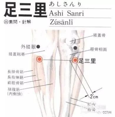 中医穴位减肥按摩手法全程教程,自己用艾灸减肥最快的穴位图解