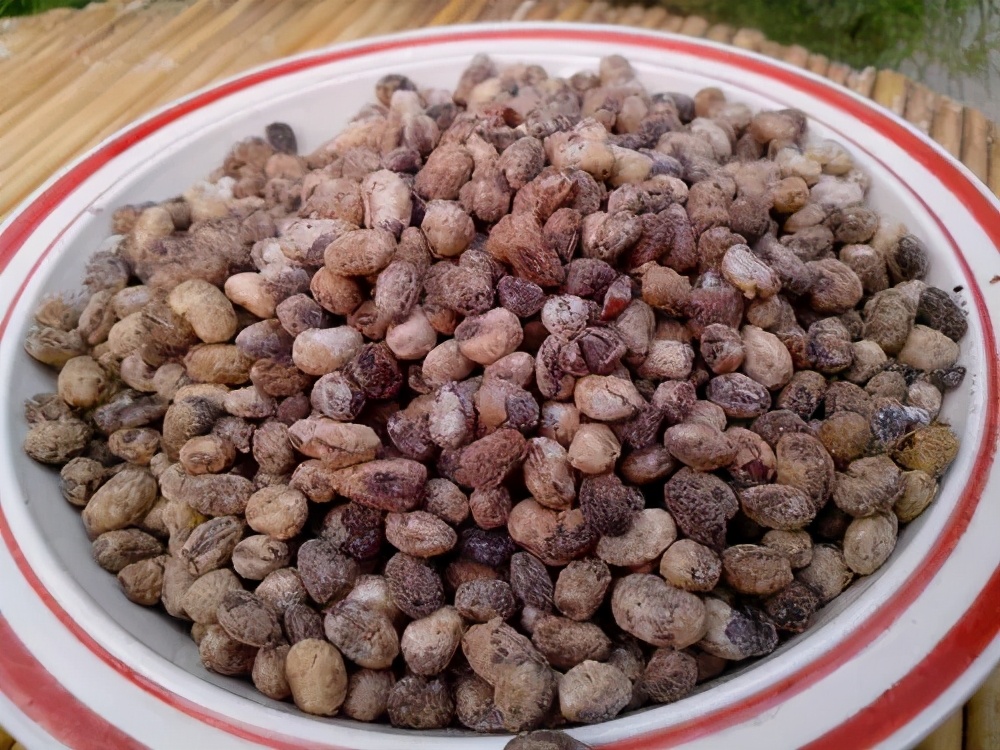 鲁西南酱豆子,陪伴我长大的老坛酸菜牛肉面