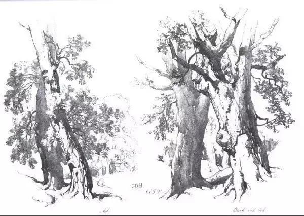 不会画风景咋办,不会画速写怎么办