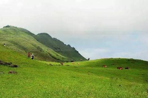 广东草原风景区,广东最美大草原