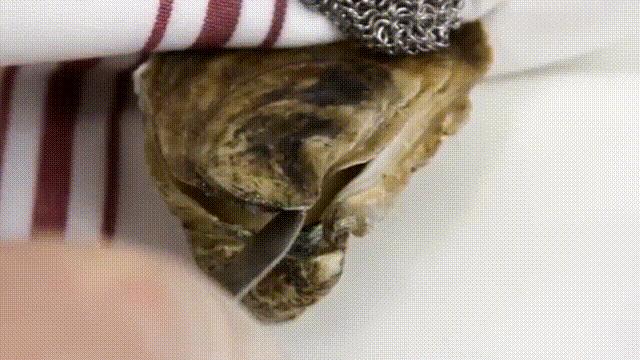 “海中牛奶”生蚝究竟能不能生吃?一篇文章解析牡蛎的养殖与品质