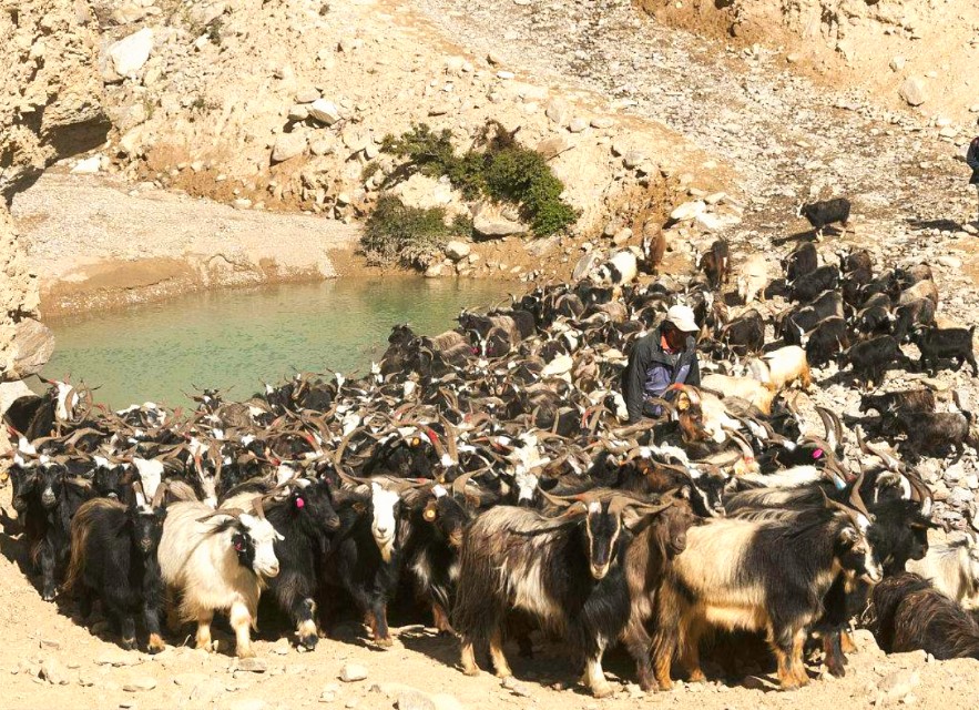 印度占星术与中国古天文学,印度神学体系