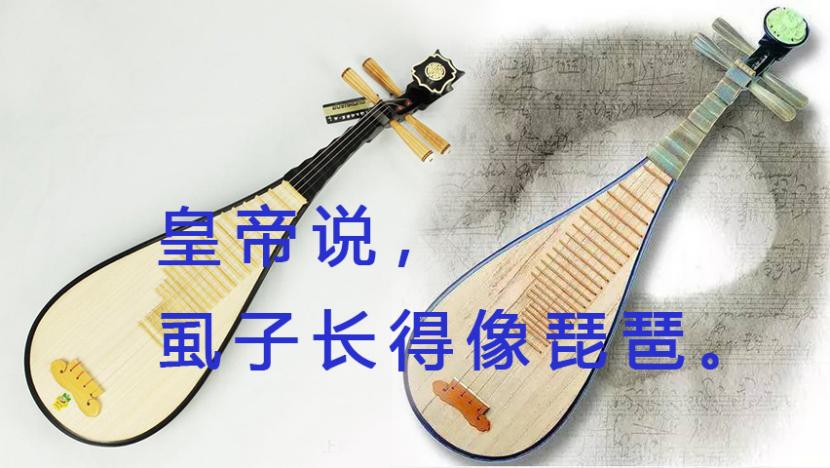 虱子有多大,虱子有几种叫法