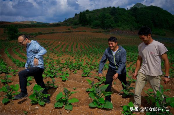 他山之石丨“拼”出新产业，小果子带来脱贫大希望，背后的故事都有啥
