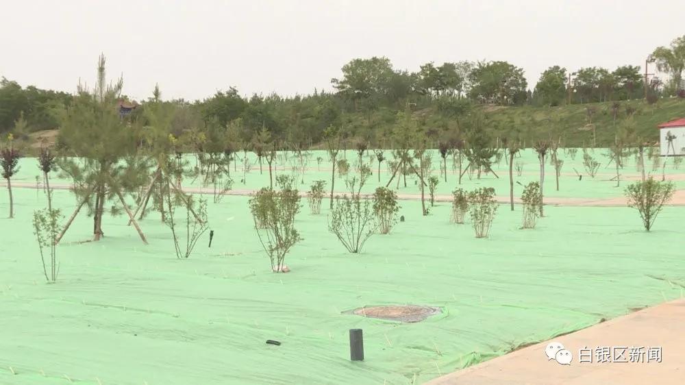 白银金岭公园不建设了吗,白银市东城区公园开工建设