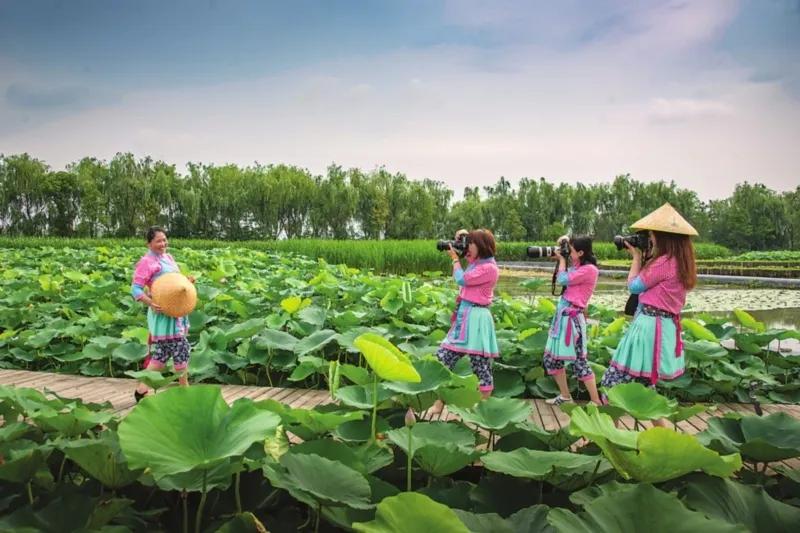 雨后苏州视频,雨后苏州的图片