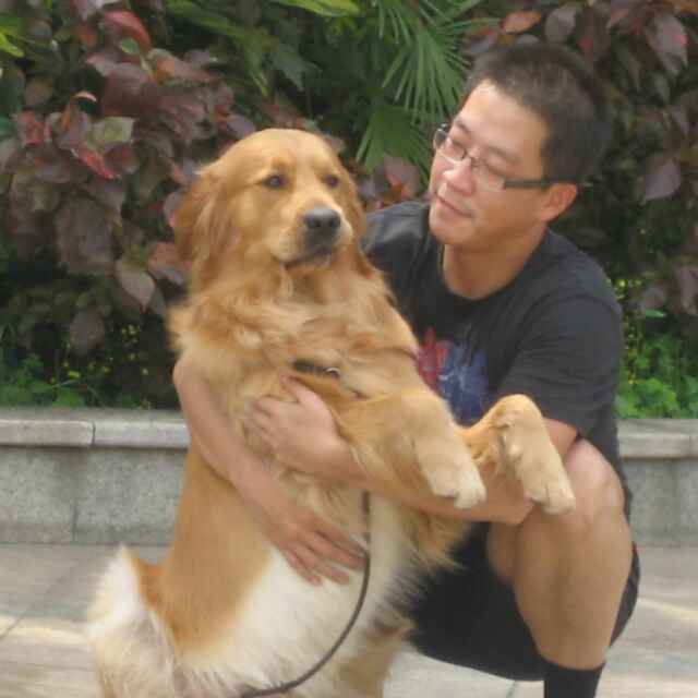 魏庆对代理商的选择,魏庆谈发展经销商路径