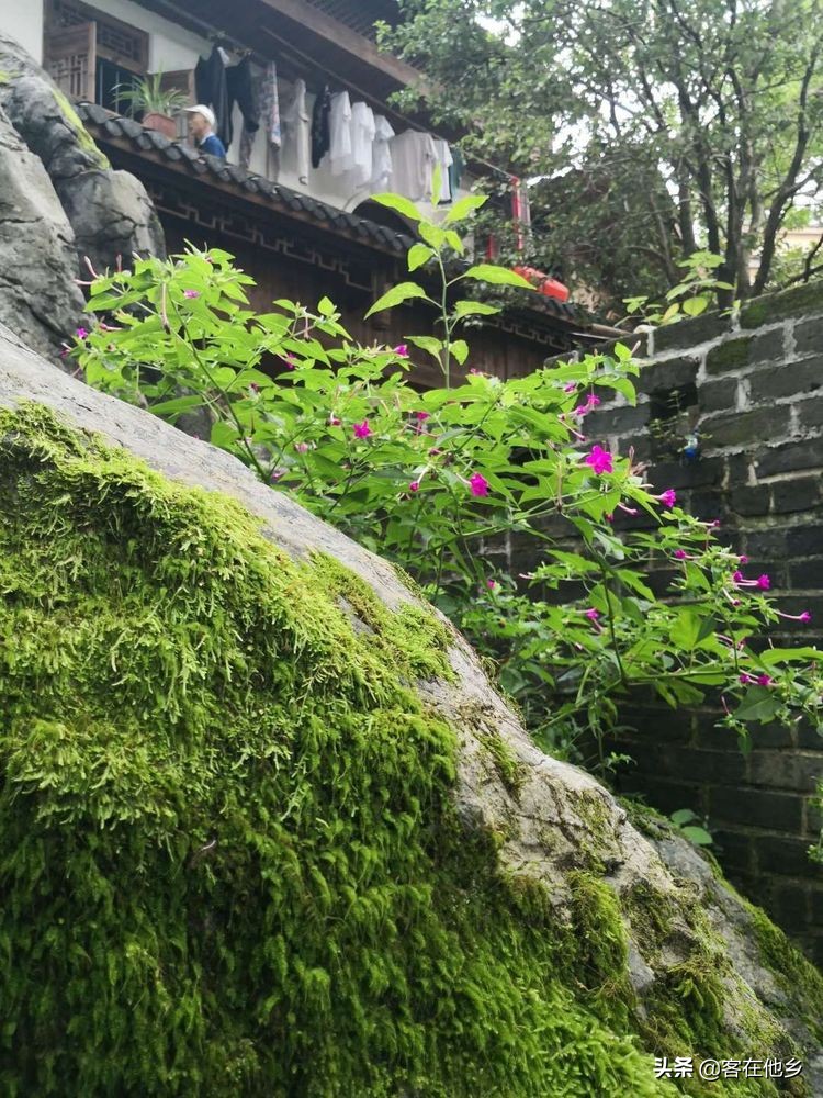 长汀县古街印象土特产,长汀古城异域风情