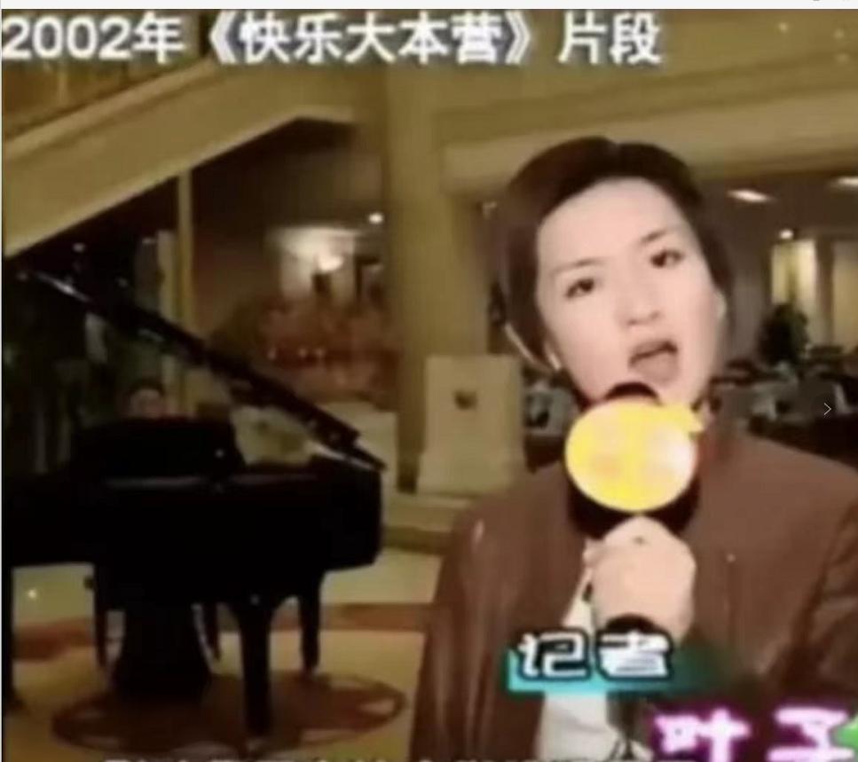 谢娜低谷经历,谢娜事业为何走入低谷