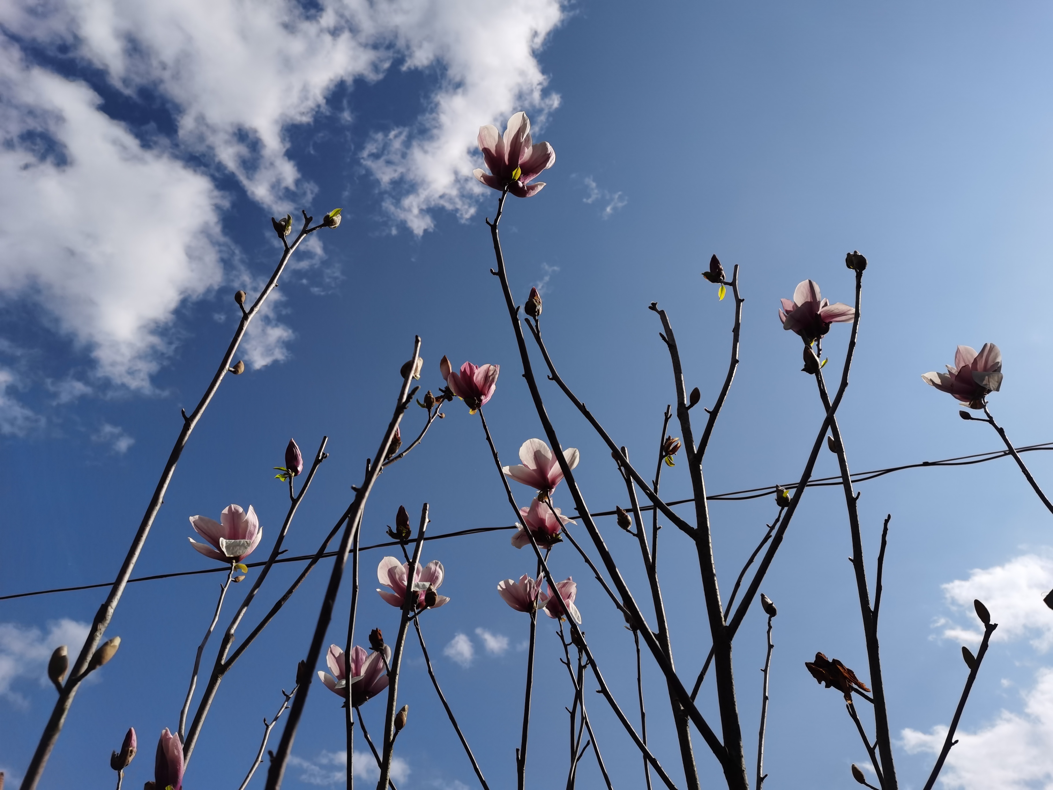 假期余额不足珍惜最后的时光,假期余额不足珍惜最后的快乐时光
