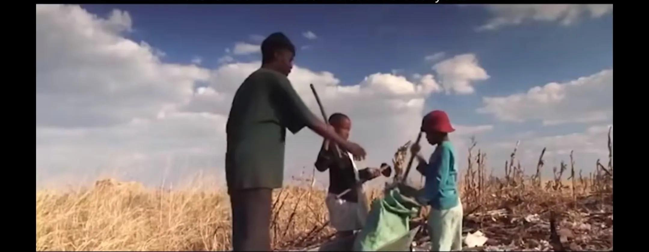 津巴布韦破产,津巴布韦151个孩子