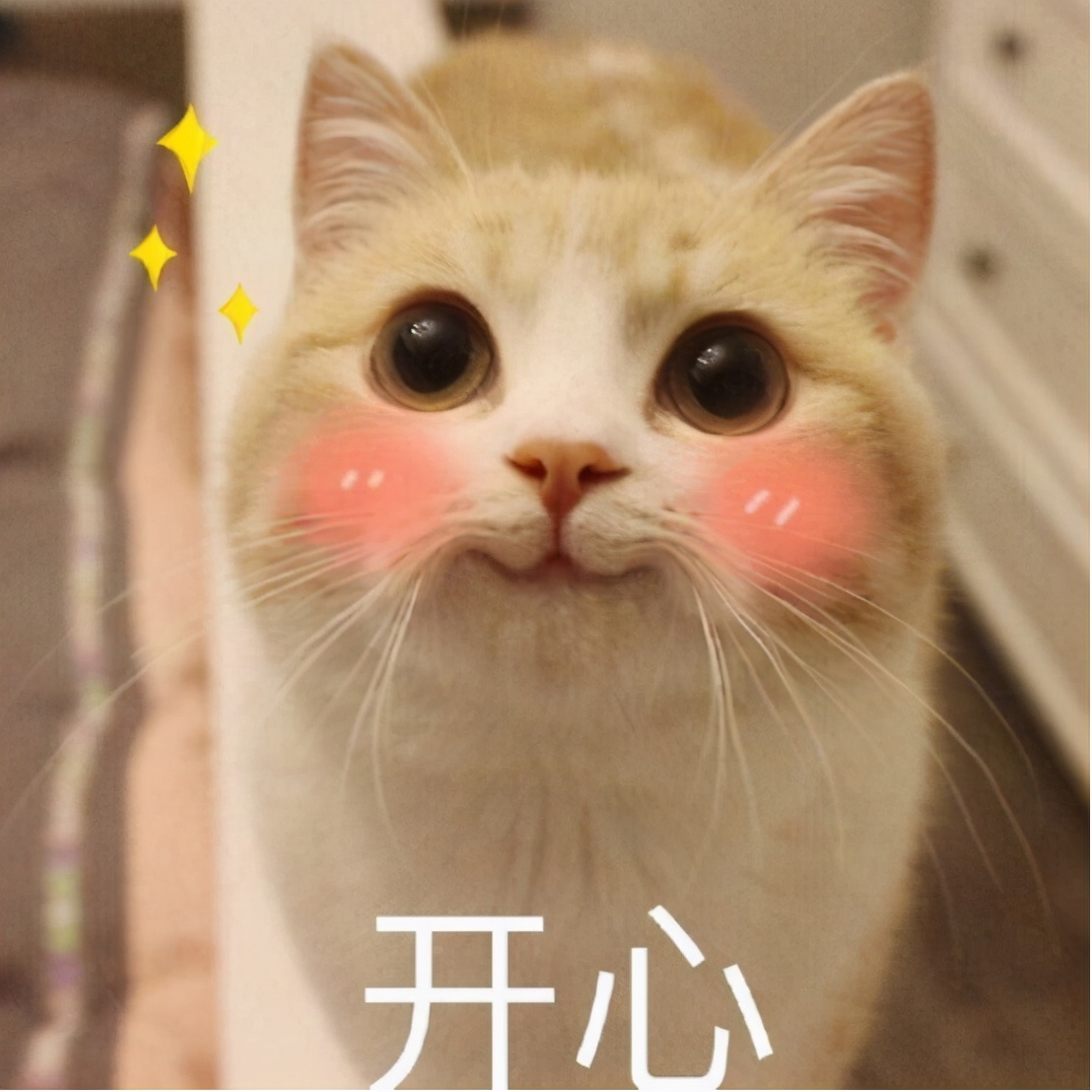 鹏程1号滤芯更换教程,净水滤芯最佳搭配