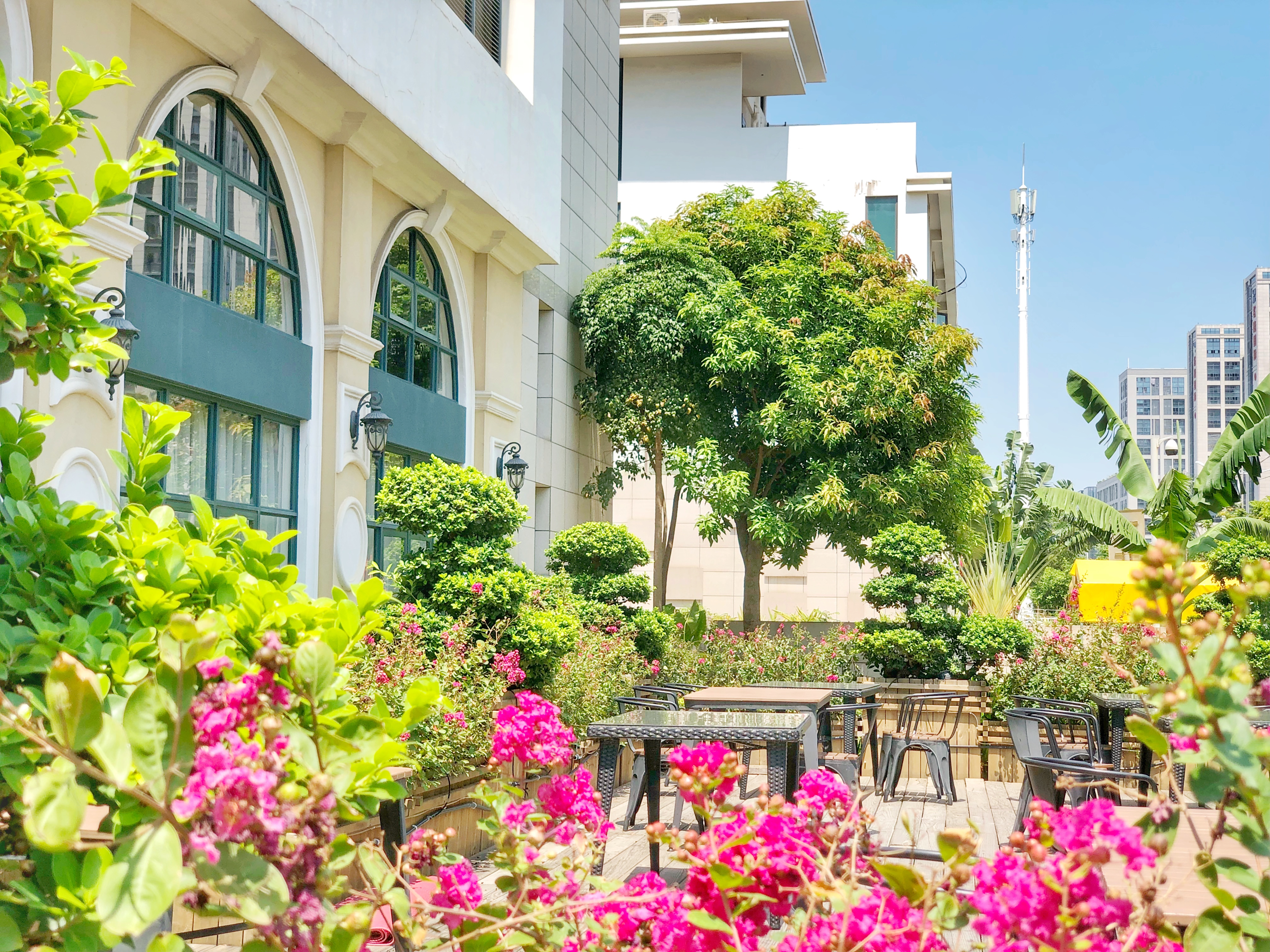 厦门小鱿鱼哪里最好吃,厦门海敢小鱿鱼团购