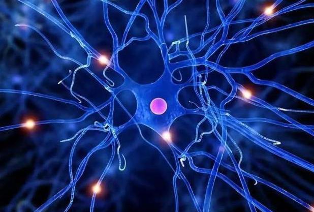 古代头被砍了还能救得回来吗,古代人被斩首后的脑袋