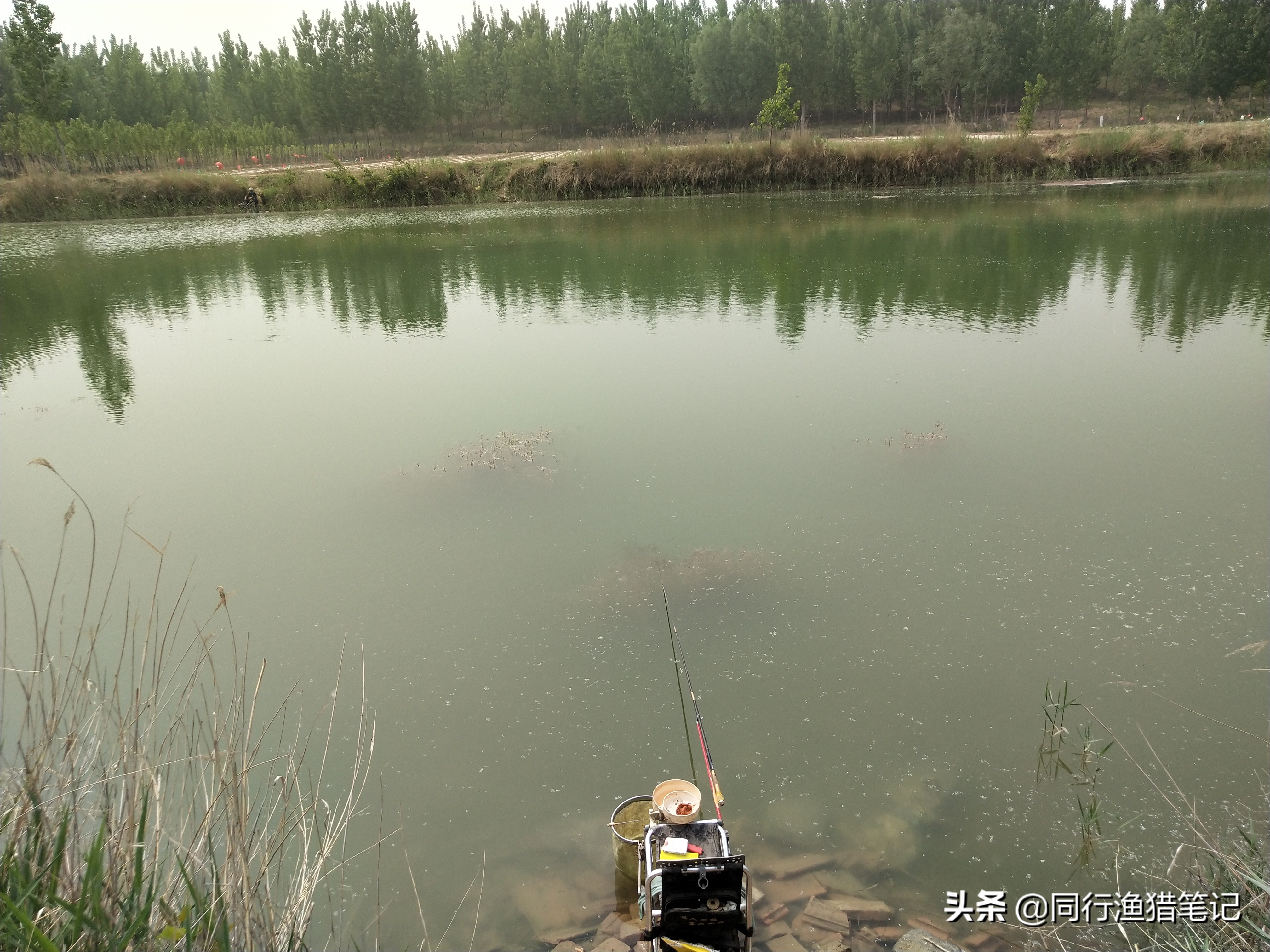 看不到鱼口却中鱼怎么解决,早上傍晚鱼不开口怎么回事