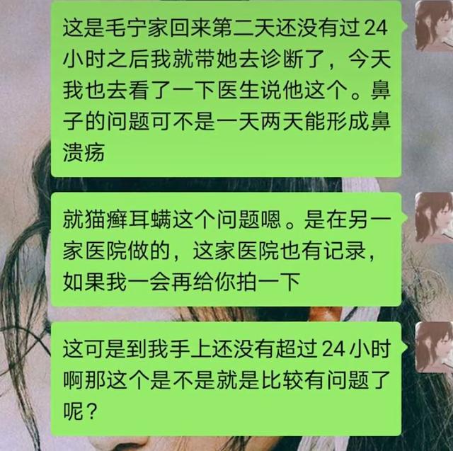 1000买猫，6000医，当你准备养猫时，坑就已经挖好了