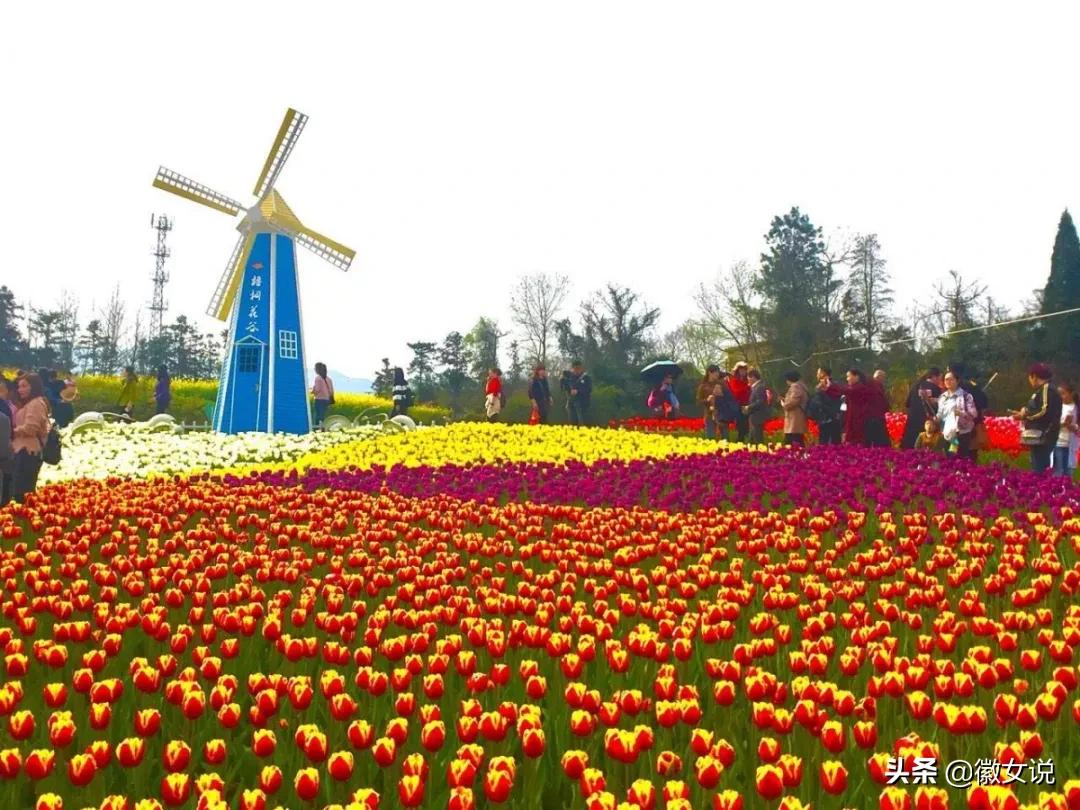 安徽颜值爆表的“姑娘”,她叫铜陵