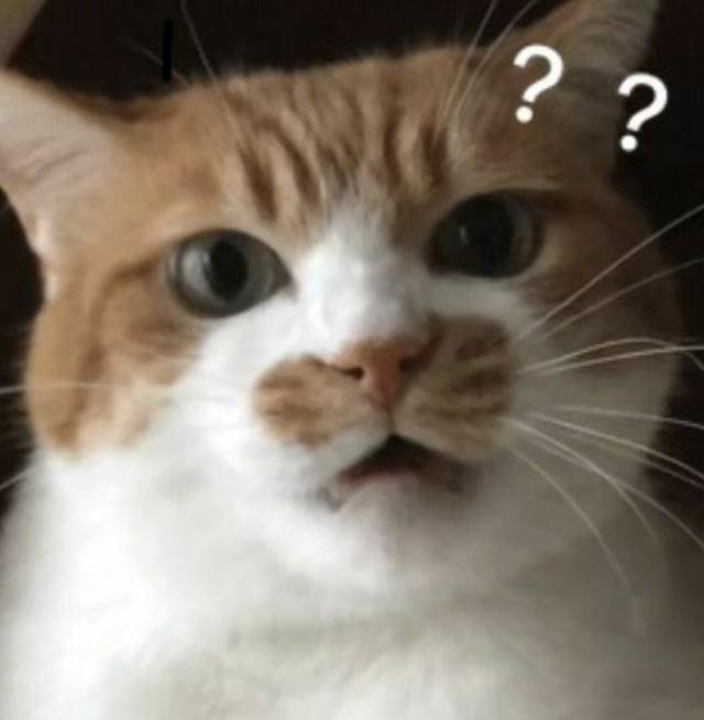 爸爸教你打游戏表情包,表情包爸爸我来了表情包