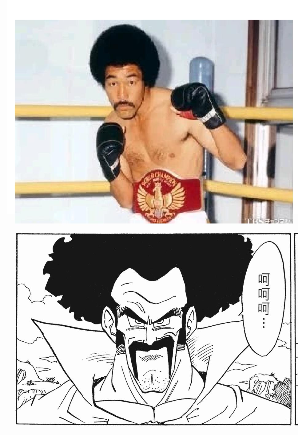 龙珠中龟仙人的原型是谁,龙珠原著角色原型