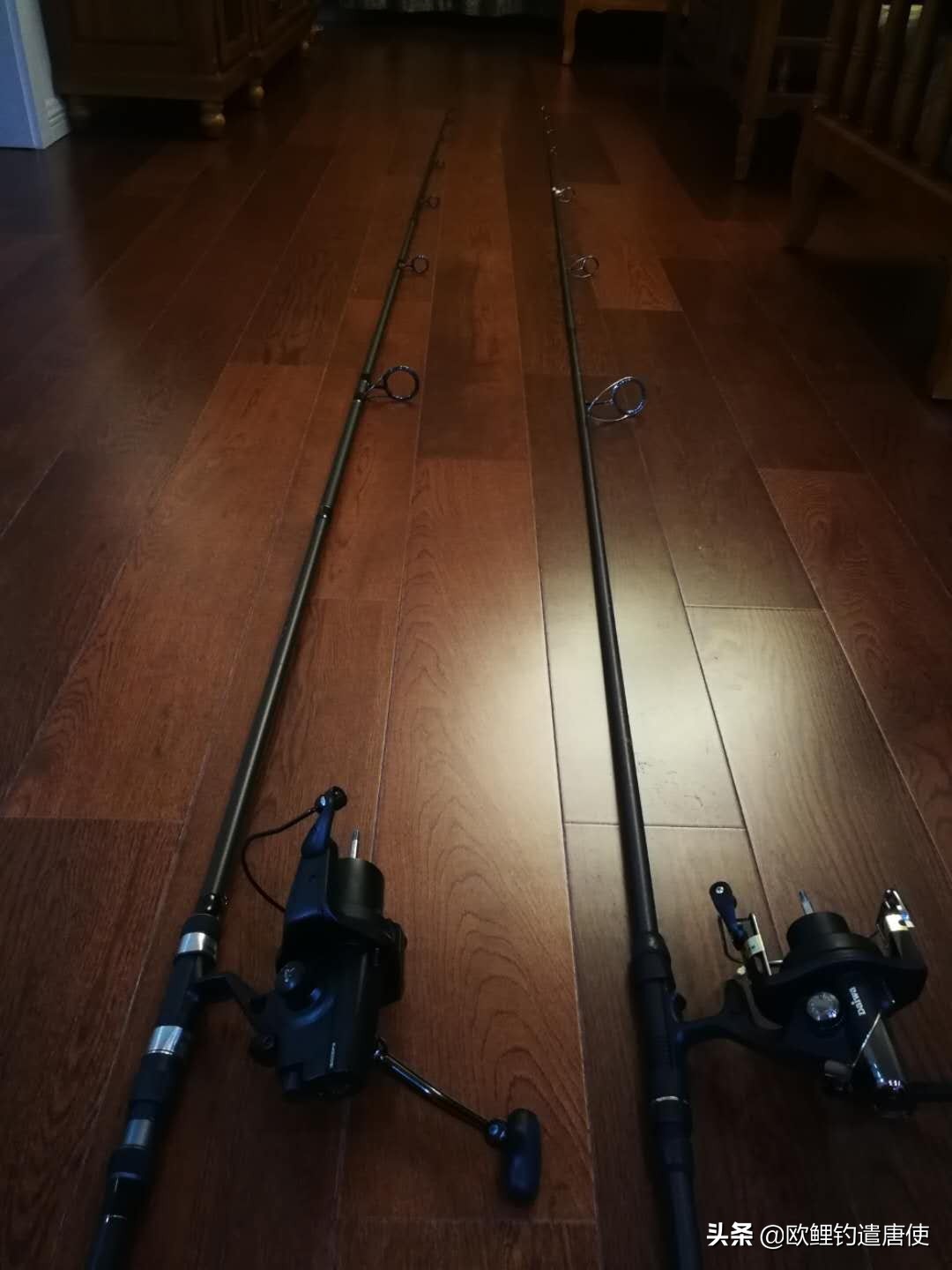 欧鲤钓竿买多长合适呢,欧鲤钓竿全套装备推荐