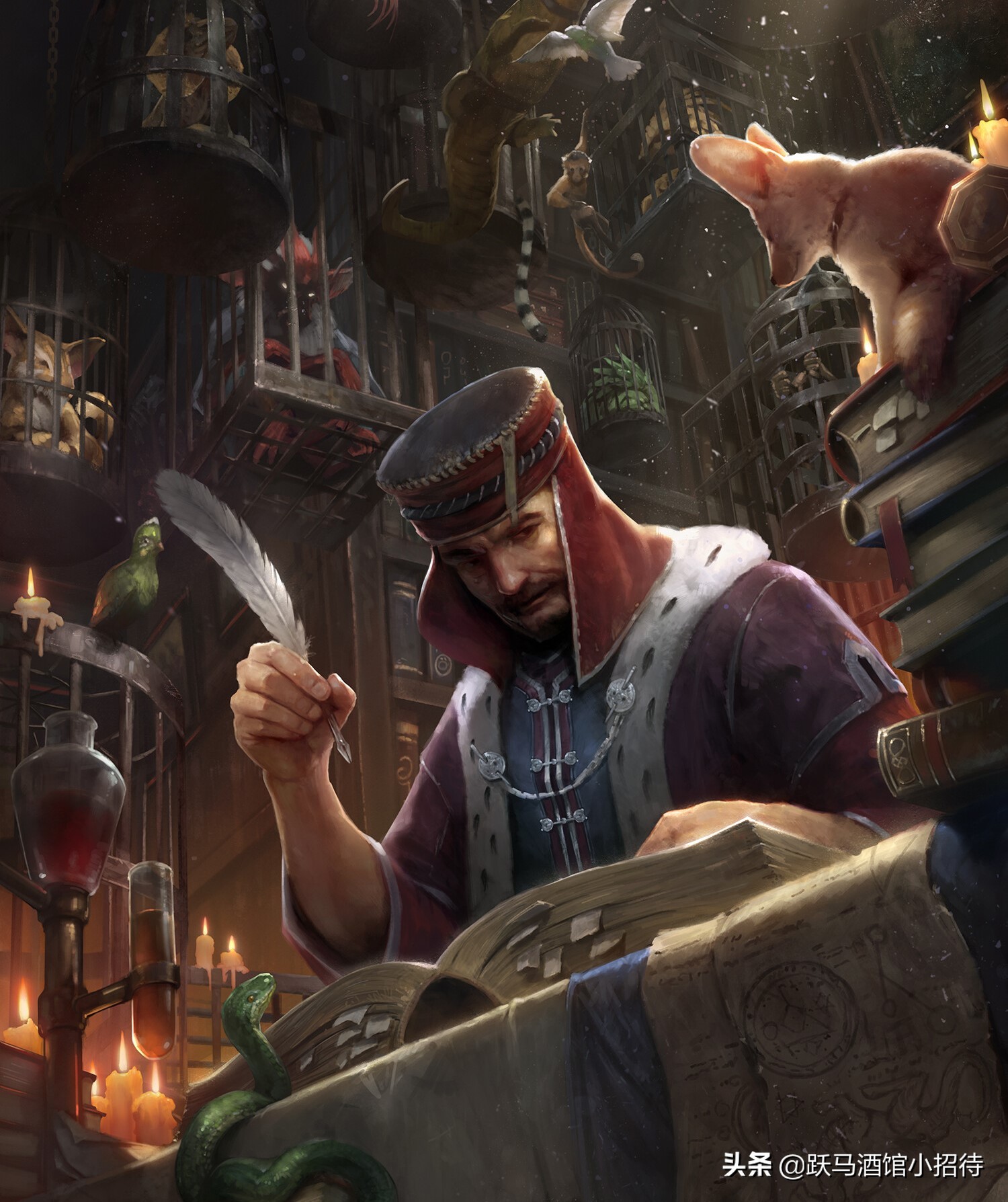 巫师故事全系列解析,巫师进化史全过程