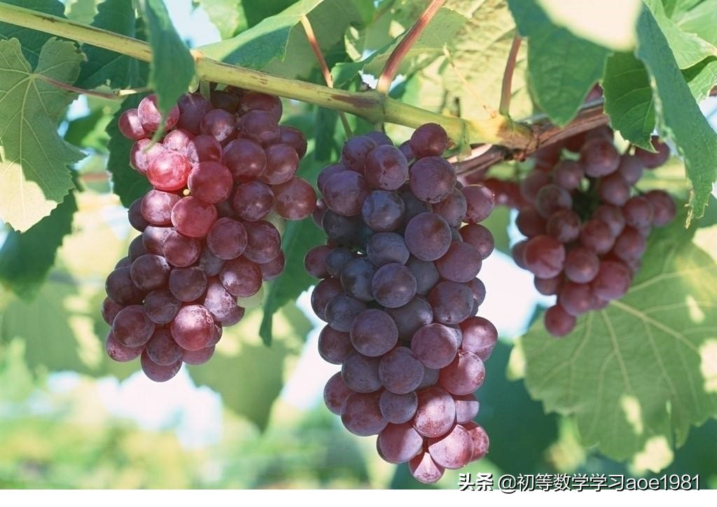 物不知数问题,物不知数问题解法