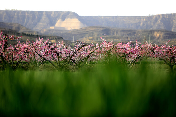 李贺诗中最美的颜色,李贺的诗词风格特点
