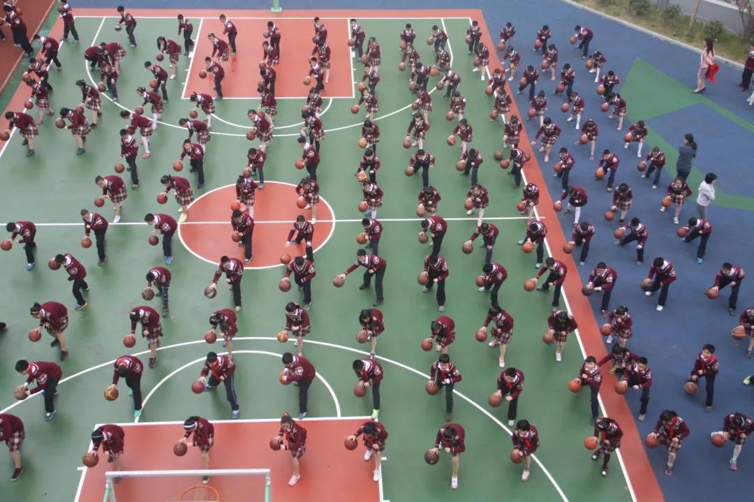 江苏省体育篮球特色学校,江苏省体育运动学校排名