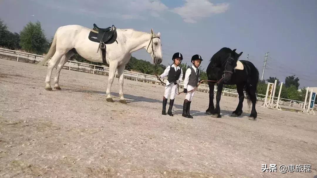 蓝调庄园温泉298元,蓝调温泉庄园北京