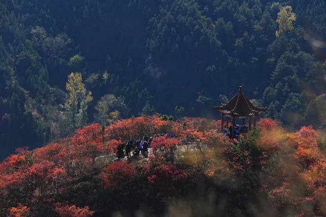 济南旅游景点推荐带孩子玩,济南旅游景点推荐适合带孩子
