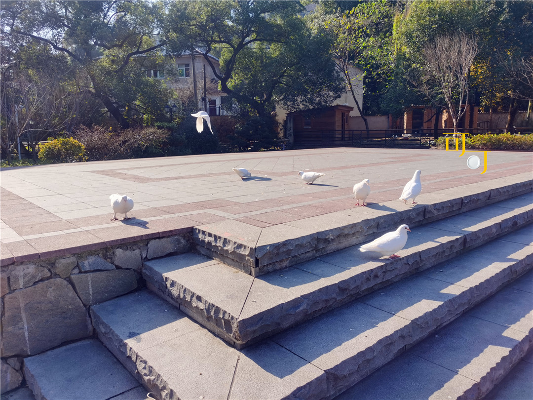 莫干山庾村11月风景,德清元旦哪里好玩