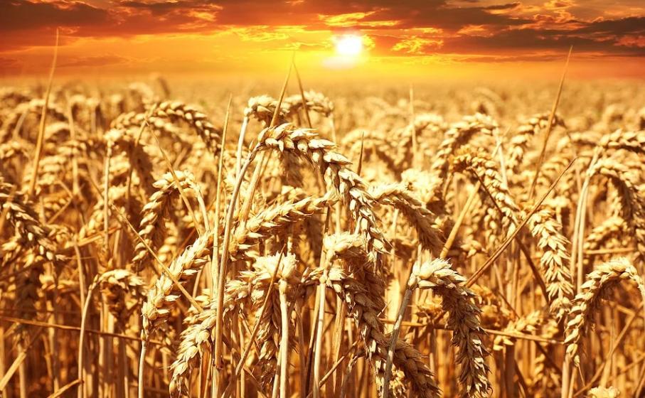 宝宝吃鸡蛋过敏了如何处理,鸡蛋过敏吃鸡蛋会有什么后果