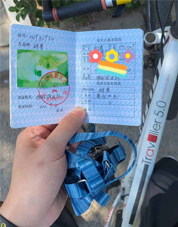 2020天津办理狗证去哪办,天津办理狗证的狗有哪些