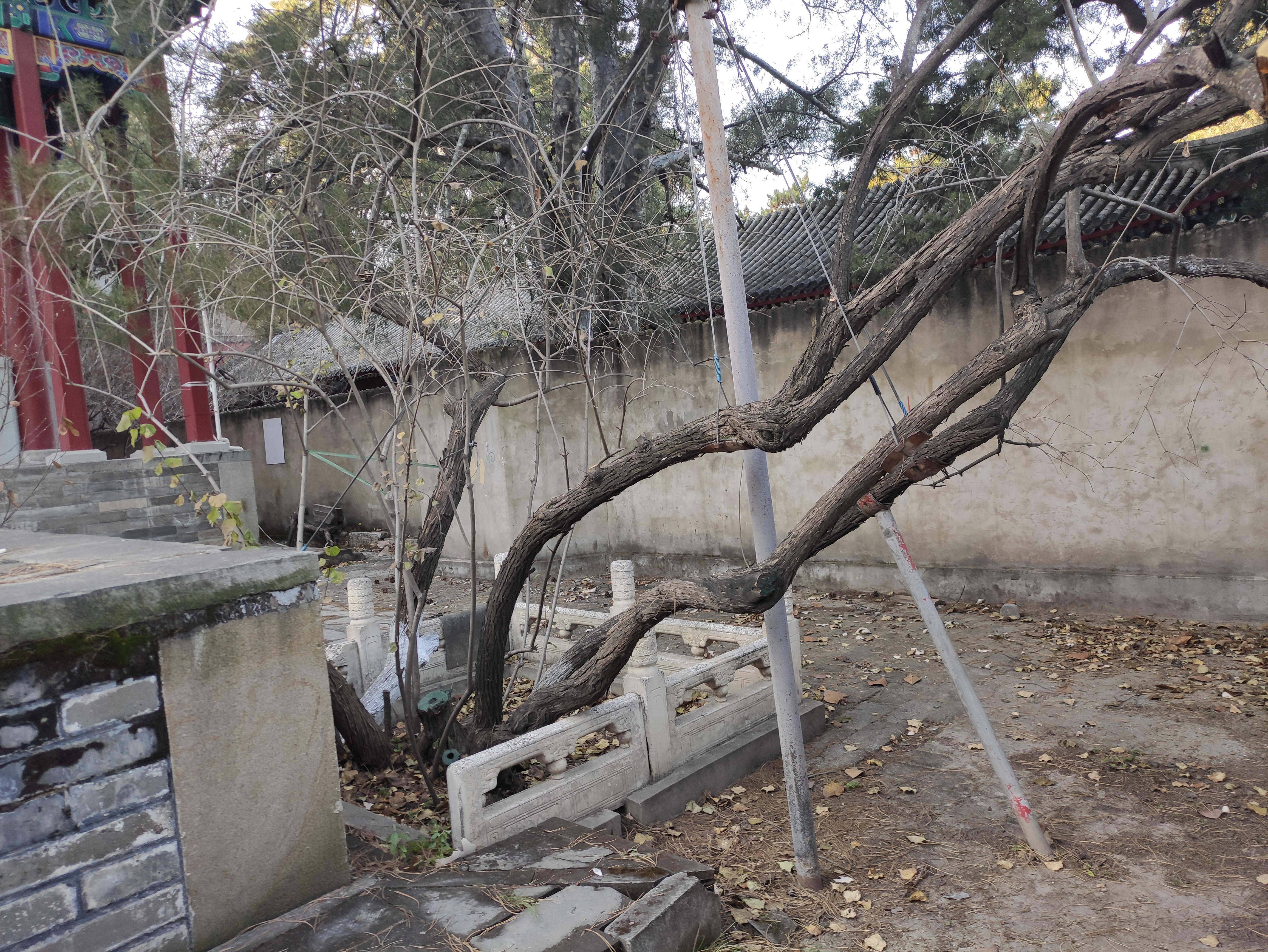 玉台寺攻略一日游,戒台寺游玩顺序