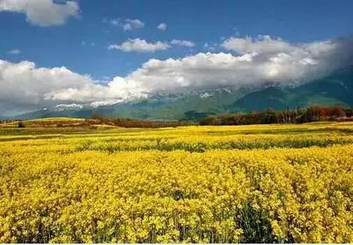 有问必答：腾冲到底哪里美？哪里能买到腾冲宣纸？