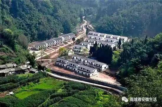 雨城名字由来,雨城区乡镇区划调整方案