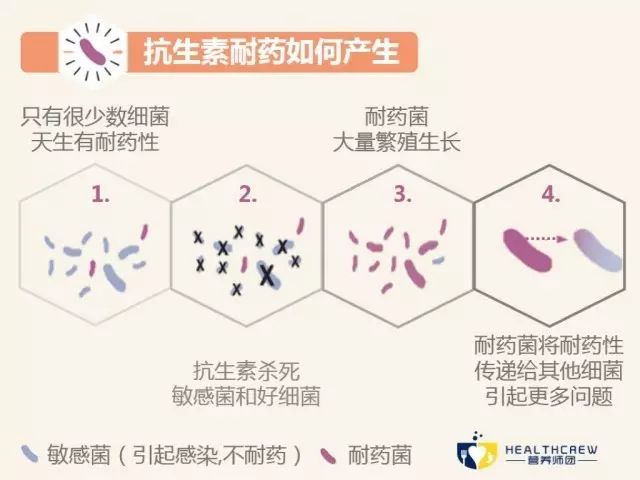 什么是抗生素,什么是抗生素制剂