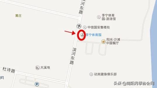 南阳月季欣赏的地方,南阳大月季