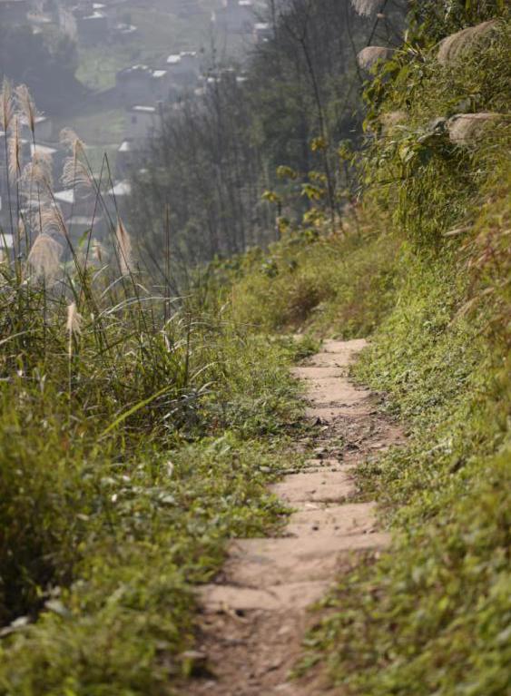 瀹滃鍙ら亾,涓夋睙椋庣墿