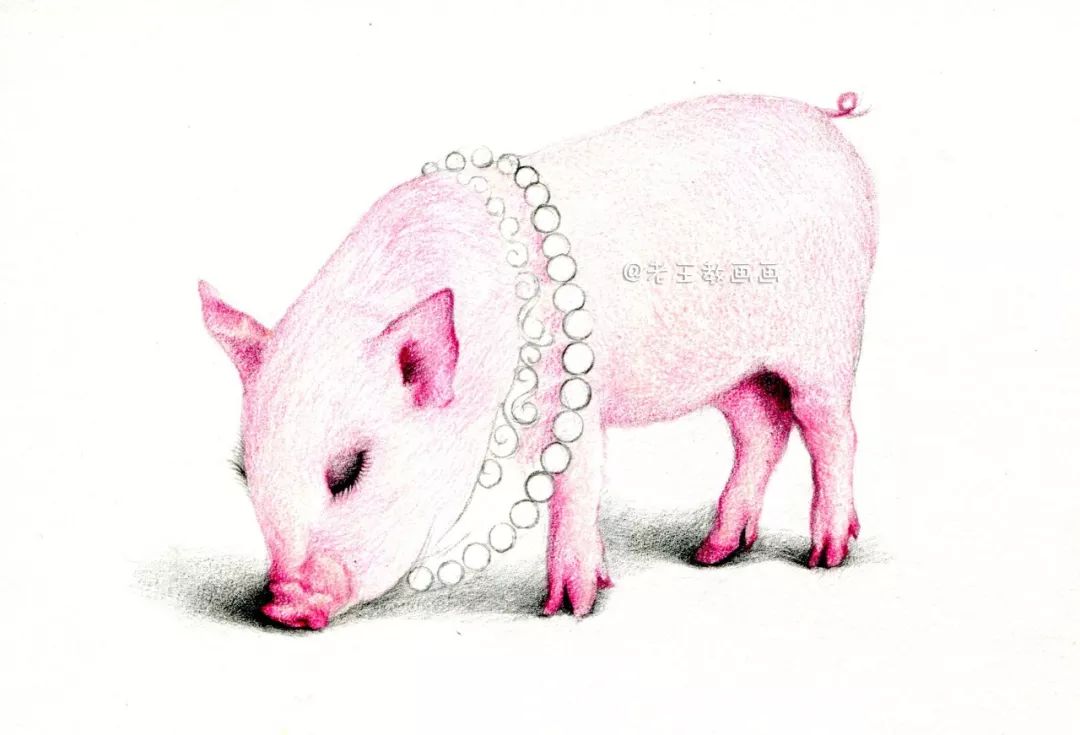 画一只简单又好看的猪,猪年的猪怎么画