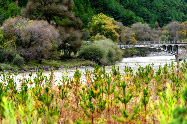 甘肃迭部县,甘肃迭部视频