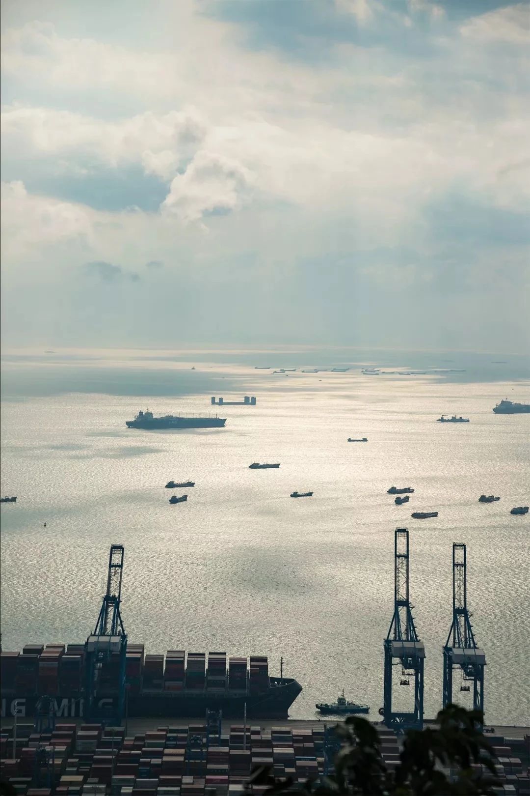 深圳二号线沿线有哪些景点游玩,深圳9号线沿途好玩的地方推荐