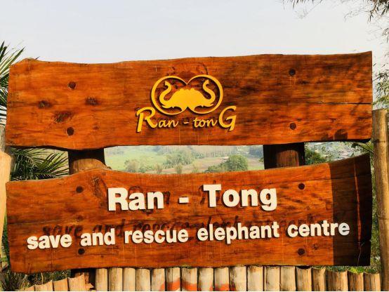 清迈大象义工,清迈大象救助营