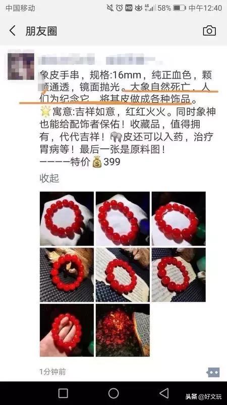 象牙暴利的特征有哪些呢,象牙工艺品骗局