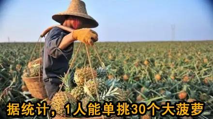 暗黑破坏神2讲了啥,暗黑破坏神2讲的是什么事