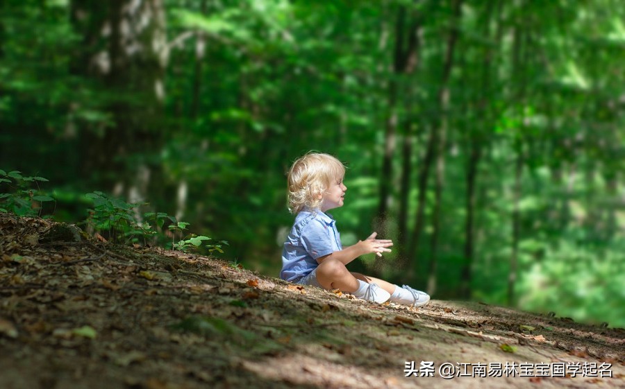 菜根谭取名及出处,菜根谭适合取名的名句