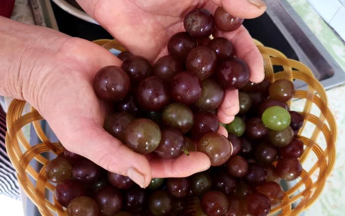 想喝红酒就这么简单,想喝红酒怎么入门