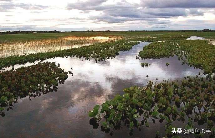 渔民沙里趴现状,渔民为什么不能沙里趴